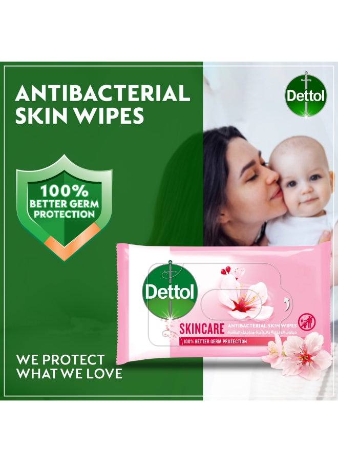 Dettol - Skincare Antibacterial Skin Wipes 5x10 Piece - Image 1