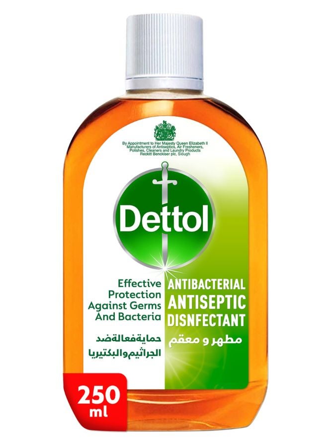 Dettol Anti Bacterial Antiseptic Disinfectant 250ml - Image 1