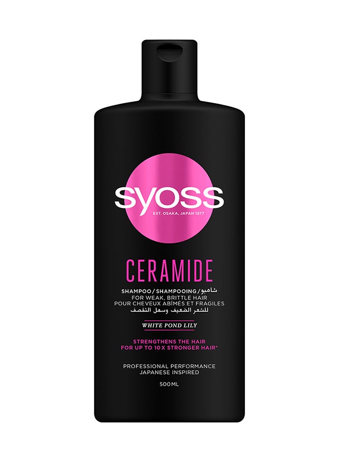 Ceramide Shampoo For Weak Hair 500ml - pnsku/N12277280A/45/_/1698779918/46d0c068-949e-4863-b4d9-d800804e15f8