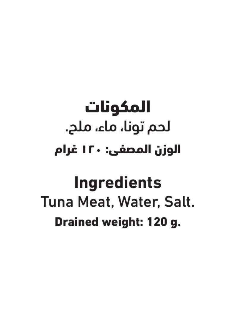 Al Alali White Meat Tuna In Water 170grams Pack of 3 - Image 3