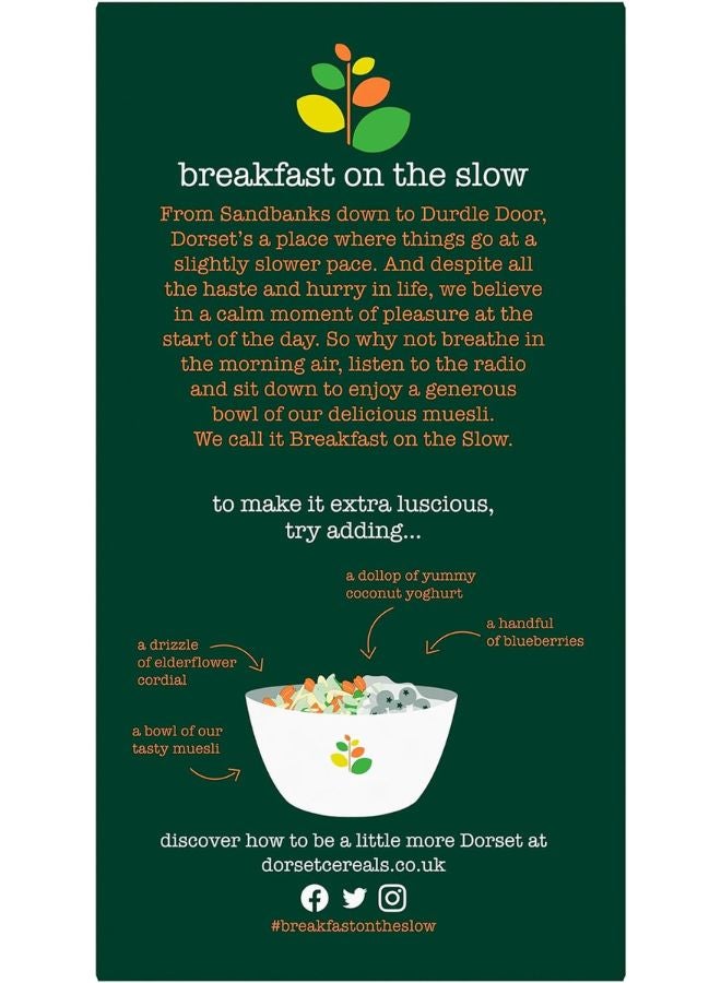 دورست سمبلي فروتي ميوزلي 620جرام - Image 2