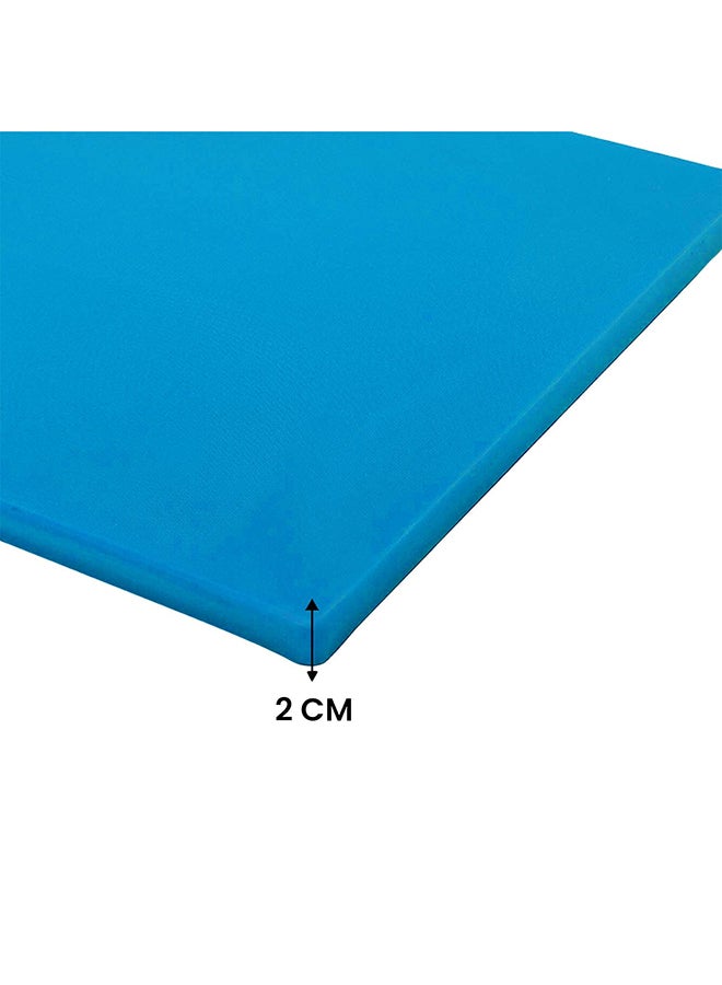 RAJ Kitchen Master Plastic Cutting Board Chopping Board Blue 40x30x2cm  - Image 2
