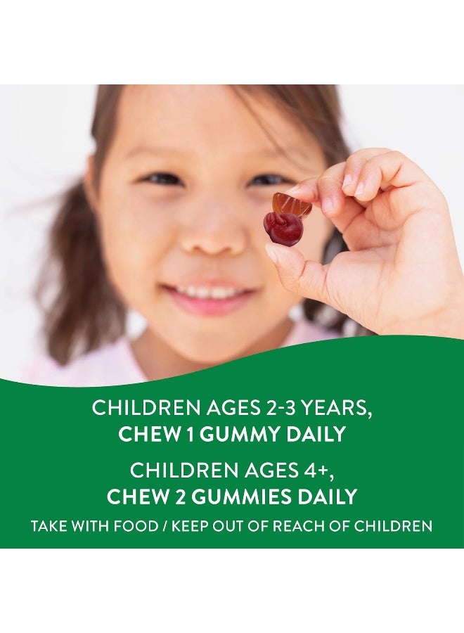 Nature's Way - Alive Multi Vitamin For Children 60 Gummies - Image 1