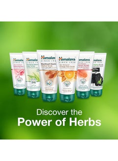 Himalaya Black Head Clearing Walnut Scrub 150ml  - Image 5