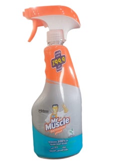 Bathroom Cleaner 500ml
