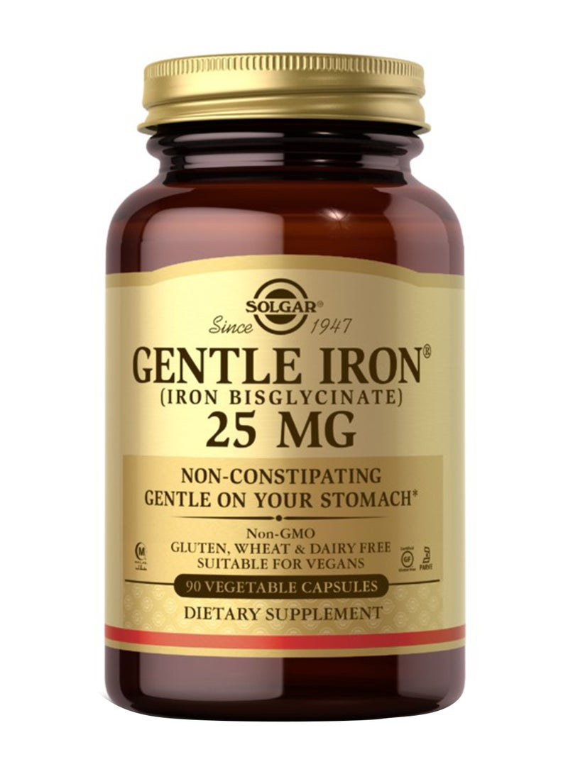 Gentle Iron 90 Capsules - pnsku/N12854025A/45/_/1709118231/a31ca571-ea3d-4a2d-a27b-00db1bced80a