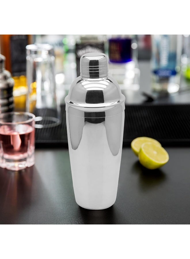 Raj Stainless Steel Cocktail Shaker Deluxe 0.7 Litre - CSD007 Silver 9.6 x 20.6 x 9.6cm - Image 5
