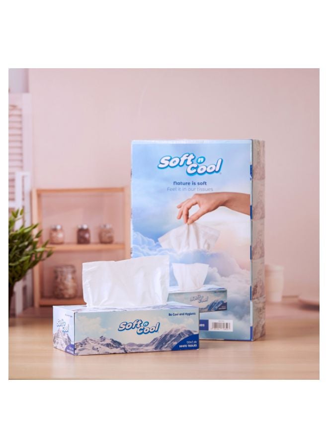 Soft n Cool 2 Ply Facial Tissue 150 Pulls 5 Box  - Image 2