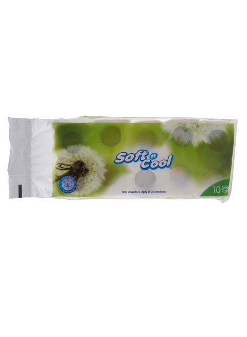 Toilet Roll Tissue 100 Sheets 10 Roll