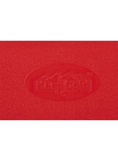 Cosmoplast Keep Cold Plastic Picnic Cooler Icebox Lunchbox Blue 20.0Liters  - Image 3