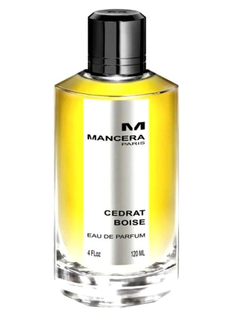 Mancera Cedrat Boise EDP 120ml - Image 1