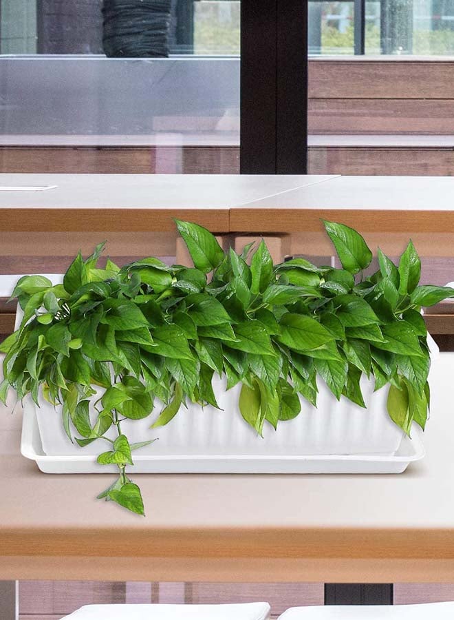 Cosmoplast 25" Large Exotica Planter with Tray (White) White - Image 4