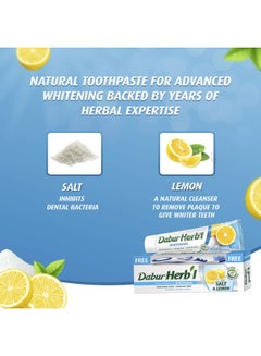 Dabur Herbal Salt & Lemon Natural Toothpaste 140 g + Toothbrush | For Whitening | Sparkling Shine | No Harmful Chemicals Multicolour 150grams  - Image 2