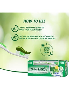 Herbal Mini And Lemon Gel Toothpaste, With Gift Multicolour 150grams - pnsku/N13346013A/45/_/1715178812/0a9d9b55-7c03-407c-93ed-aa2054ea6e77