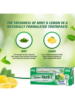 Dabur Herbal Mini And Lemon Gel Toothpaste, With Gift Multicolour 150grams  - Image 3