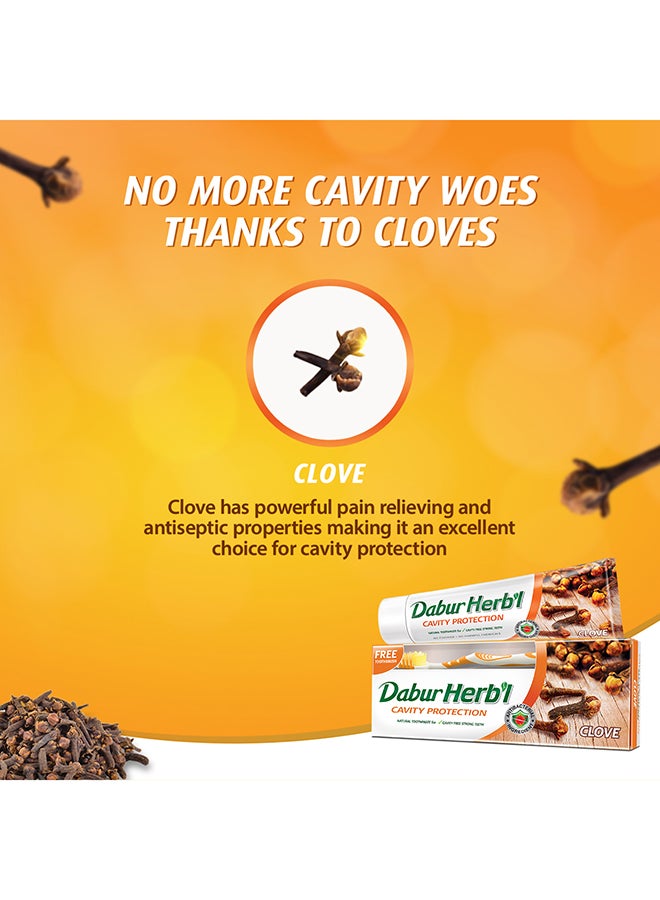 Dabur Herbal Cavity Protection Clove Toothpaste + Toothbrush Enriched with Clove Natural Toothpaste For Cavity Free Strong Teeth 150grams  - Image 4