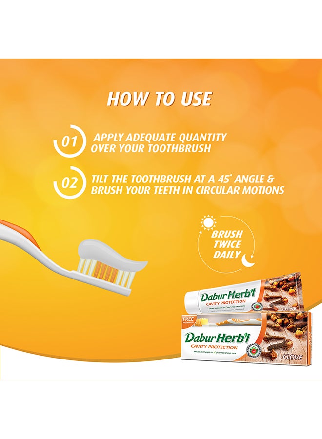 Dabur - Herbal Cavity Protection Clove Toothpaste + Toothbrush Enriched with Clove Natural Toothpaste For Cavity Free Strong Teeth 150grams - Image 1