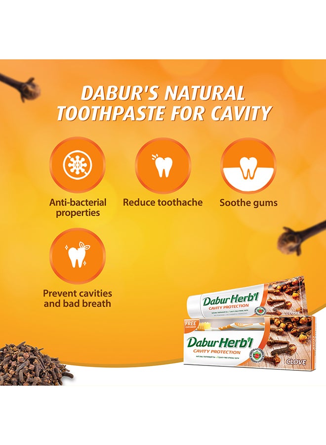 Dabur Herbal Cavity Protection Clove Toothpaste + Toothbrush Enriched with Clove Natural Toothpaste For Cavity Free Strong Teeth 150grams  - Image 3