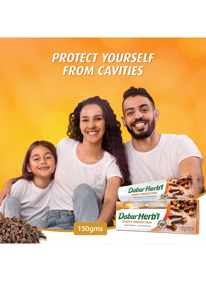 Dabur Herbal Cavity Protection Clove Toothpaste + Toothbrush Enriched with Clove Natural Toothpaste For Cavity Free Strong Teeth 150grams  - Image 2