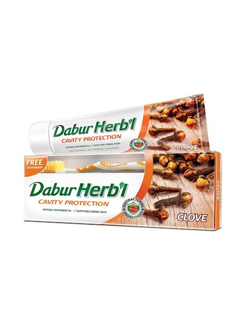 Dabur Herbal Cavity Protection Clove Toothpaste + Toothbrush Enriched with Clove Natural Toothpaste For Cavity Free Strong Teeth 150grams  - Image 1