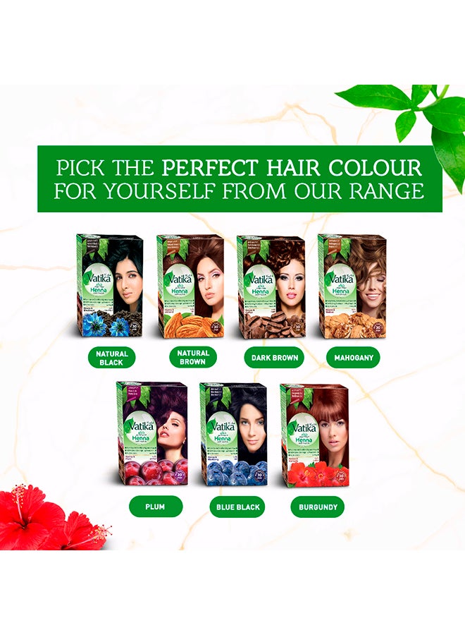 Dabur - Naturals Henna | Burgundy Hair Color For Intense Nourishment And Conditioning | Ammonia Free | For Grey Hair 60grams - Image 1