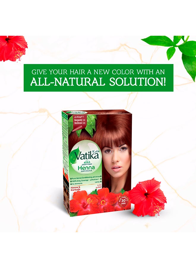 Dabur - Naturals Henna | Burgundy Hair Color For Intense Nourishment And Conditioning | Ammonia Free | For Grey Hair 60grams - Image 1