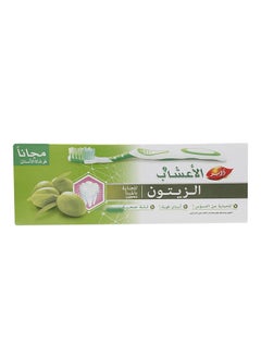 Dabur Herb'l Olive Toothpaste With Bamboo Toothbrush 150grams  - Image 2