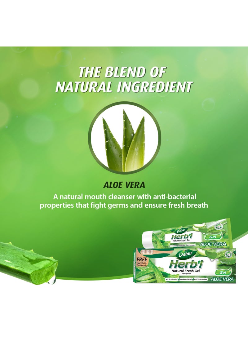 دابر معجون أسنان هيربال بخلاصة الألوفيرا سعة 150 جم مع فرشاة أسنان مجانية - Image 3