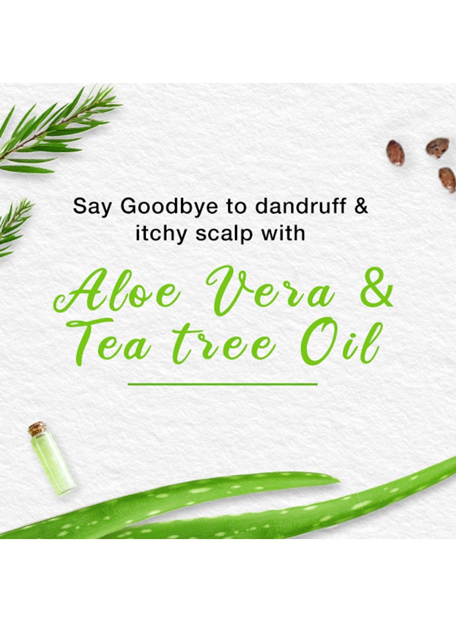 Himalaya Anti-Dandruff Soothing And Moisturizing Shampoo 400ml - Image 3