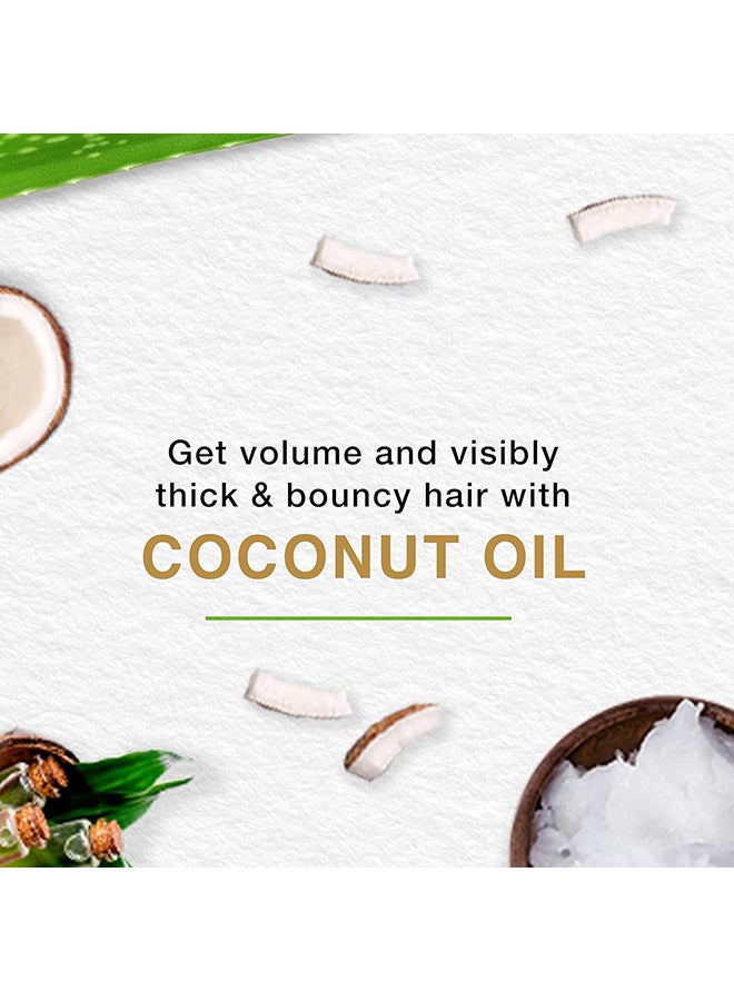 Himalaya Protien Hair Cream-Extra Nourishment 210ml - Image 2