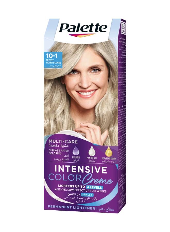 Palette Intensive Color Crème 10-1 Frosty Silver Blonde 110ml - Image 1