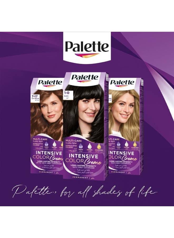 Palette Intensive Color Crème 10-1 Frosty Silver Blonde 110ml - Image 3