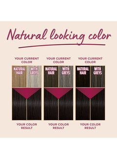 Palette Intensive Colour Cream 8-0, Light Blonde 8-0, Light Blonde 50ml , 50ml , & 10ml  - Image 4