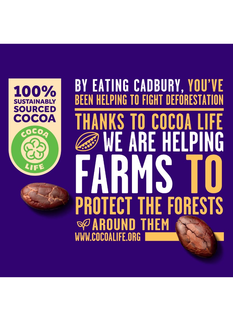 Cadbury Dairy Milk Fruit And Nut 95grams - Image 5