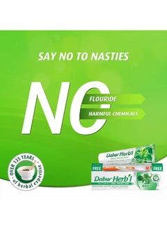Dabur Herbal Natural Toothpaste For Oral Protection Dental Care Kit 150grams  - Image 5