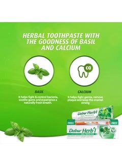 Dabur Herbal Natural Toothpaste For Oral Protection Dental Care Kit 150grams  - Image 4