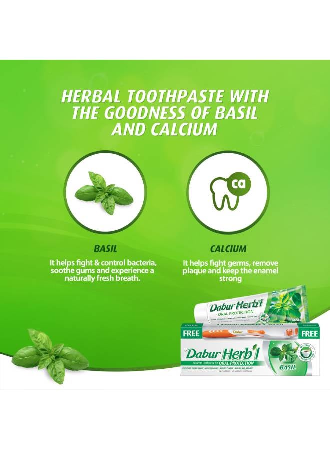 Dabur Herbal Natural Toothpaste For Oral Protection Dental Care Kit 150grams  - Image 4