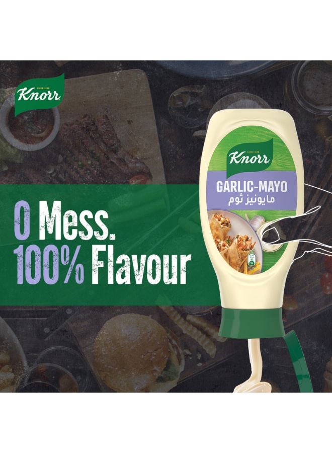 Knorr - Flavoured Mayonnaise With A Hint Of Garlic 420.0ml - Image 1