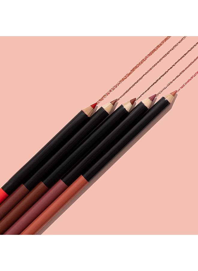 Wet N Wild Color Icon Lip Liner Chestnut - Image 4