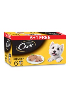 6-Piece Chicken Flavour Dog Food 100grams - pnsku/N14503894A/45/_/1740060484/4fbb77c0-8f4b-4971-bc12-c3246cf7ed6c