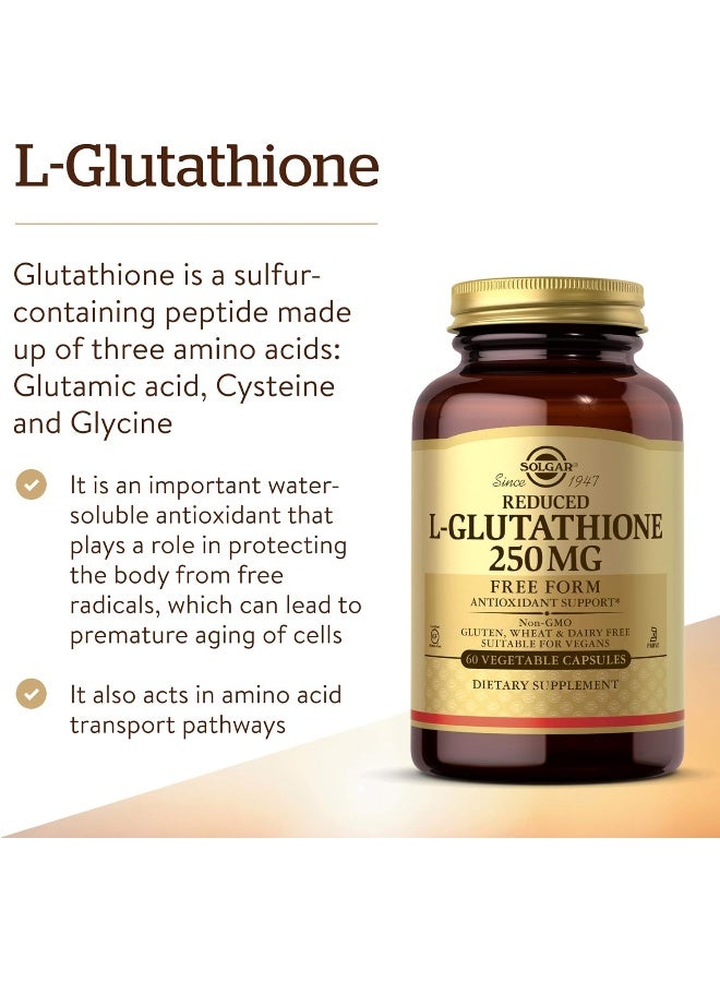 Solgar Reduced L-Glutathione, 250 mg, 60 Vegetable Capsules Packaging May Vary - Image 4