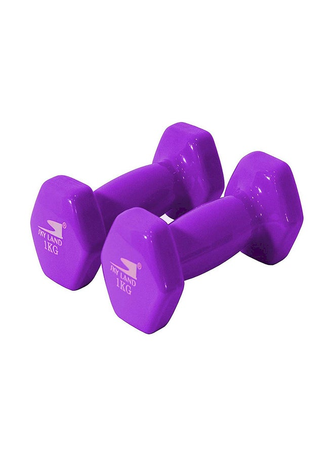 Sky Land Fitness Dumbbell Set - 1-KG 2kg