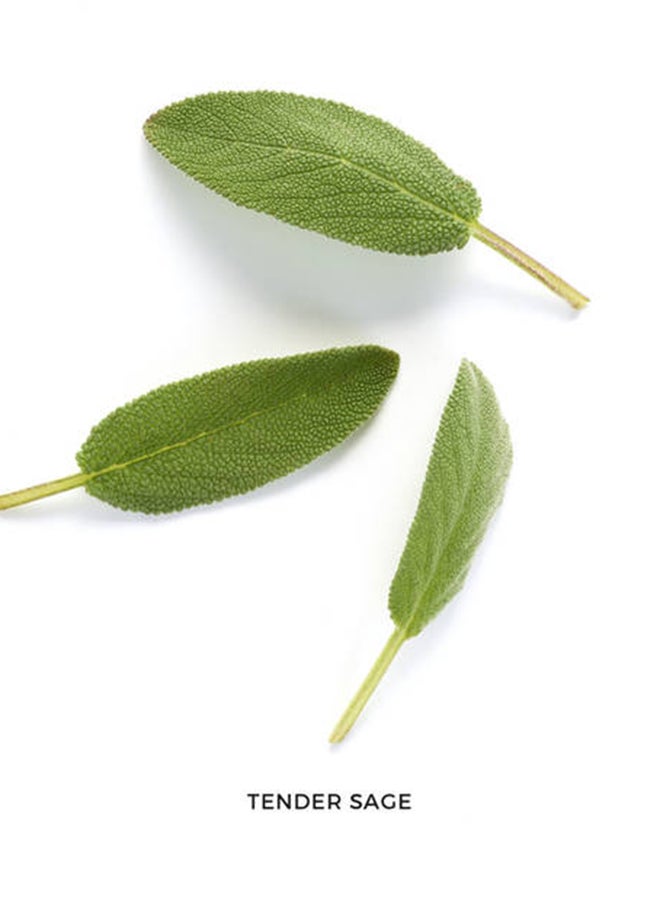 EMPORIO ARMANI Stronger With You EDT 100ml - Image 5