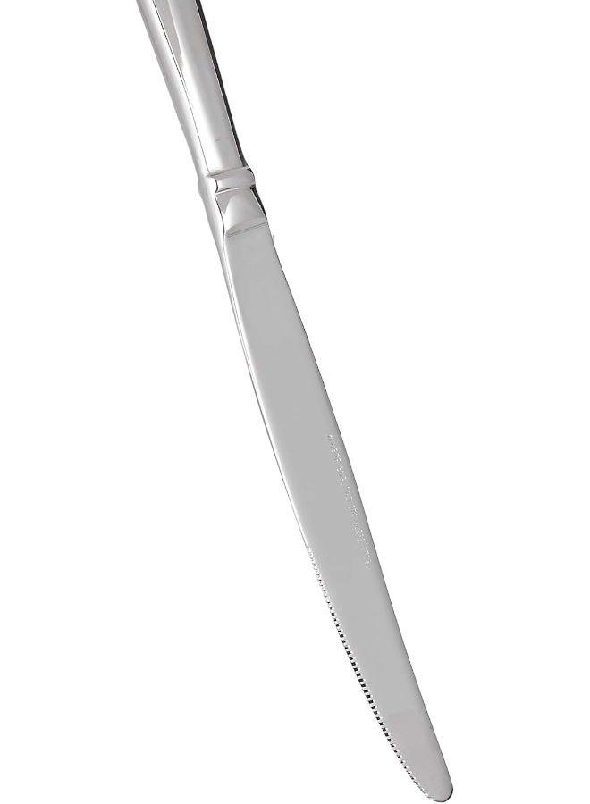 Winsor Stainless Steel Steak Knife Pilla Silver  - Image 5