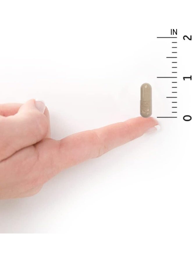 جاردن أوف لايف فيتامين ج الخام - Image 5