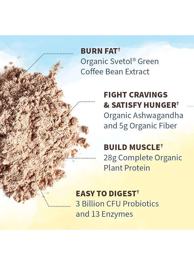 Garden of Life - Raw Organic Fit Powder Chocolate High Protein For Weight Loss Burns Fat Satisfies Hunger Fights Cravings Whole Food 455G - Image 1