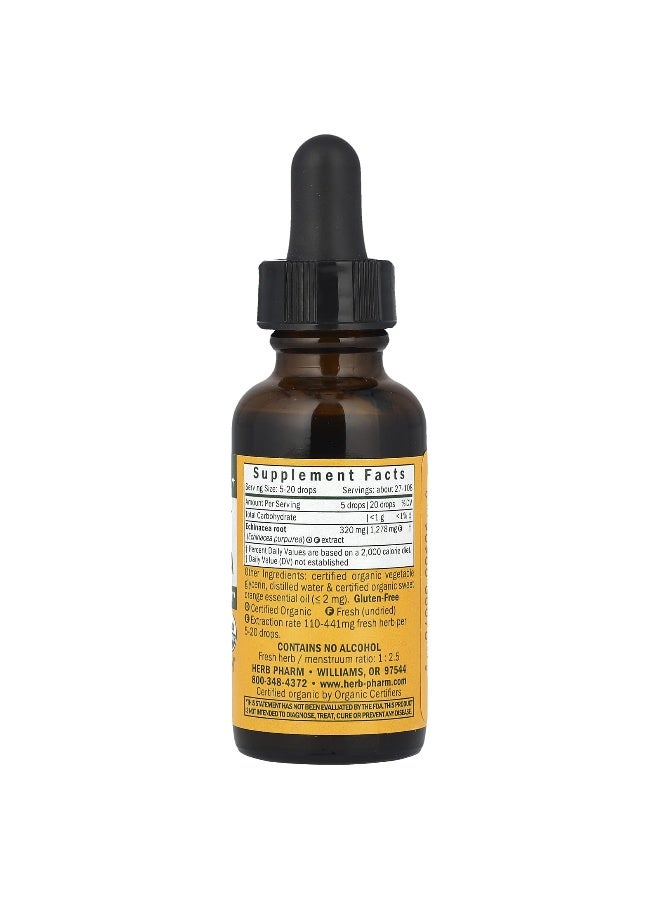 HERB PHARM Kids Echinacea Alcohol Free Orange 1 Fl Oz  - Image 2
