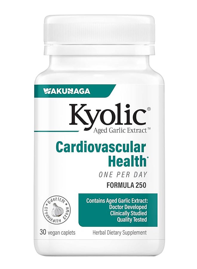 kyolic Cardiovascular Health Herbal Aged Garlic Extract One Per Day Formula 250 100 Vegan Caplets - Image 1