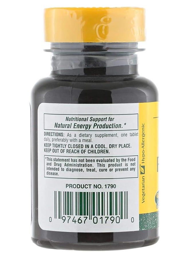 Natures Plus Folic Acid 800 Mcg High Potency Gluten Free 90 Tablets - Image 2