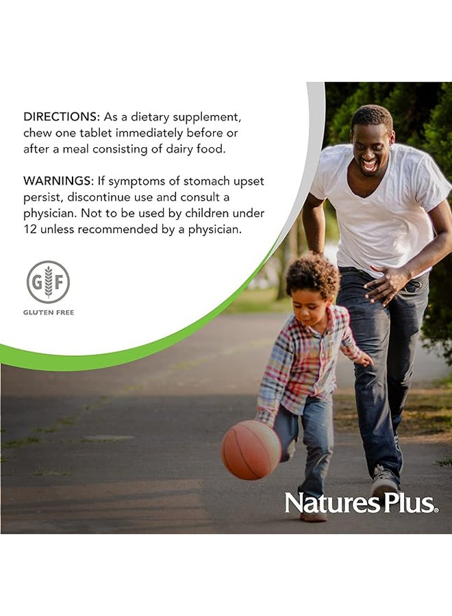 Nature's Plus Say Yes To Dairy Digestive Aid For Dairy Food Natural Lactase Enzyme Supplement Gluten Free 50 Chewable Tablets - Image 2